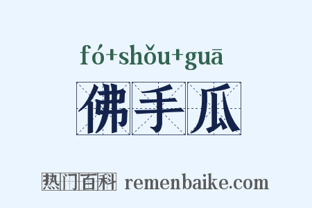 佛手瓜是什么意思的图片